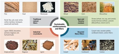 Wood Fiber Composites - Kestäviä ja Luonnollisia Ratkaisuja Nykyajan Teknologialle!