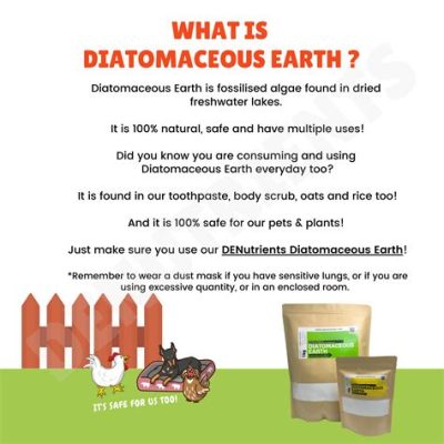  Diatomaceous earth – Miksi tämä ihmeellinen materiaali on teollisuuden tulevaisuus?